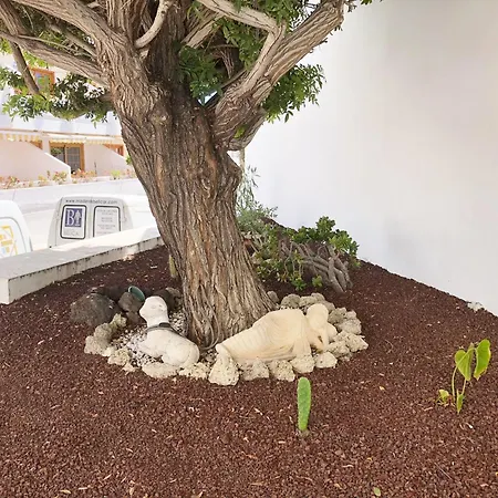 Апартаменты Bonito Apartmento En Garden Con Piscina Climatizada *