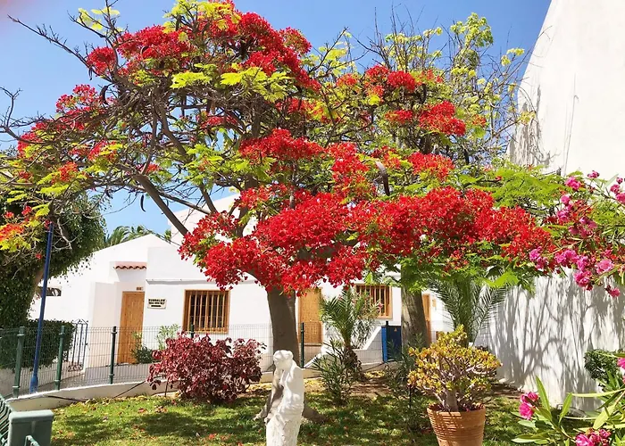 דירה Bonito Apartmento En Garden Con Piscina Climatizada *