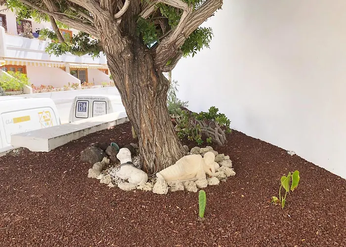 דירה Bonito Apartmento En Garden Con Piscina Climatizada *