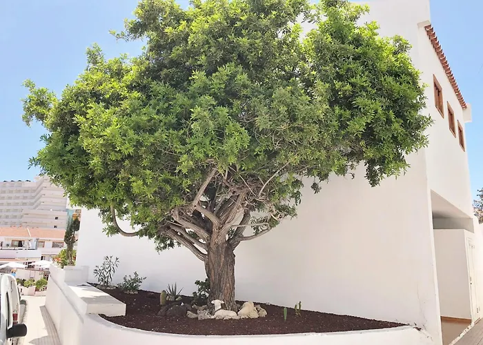 Bonito Apartmento En Garden Con Piscina Climatizada *