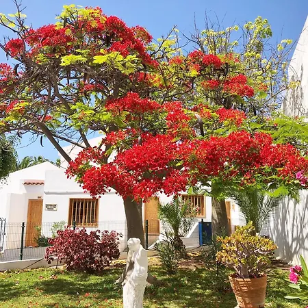 Apartamento Bonito Apartmento En Garden Con Piscina Climatizada *